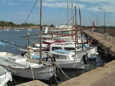 DSCF0110.JPG